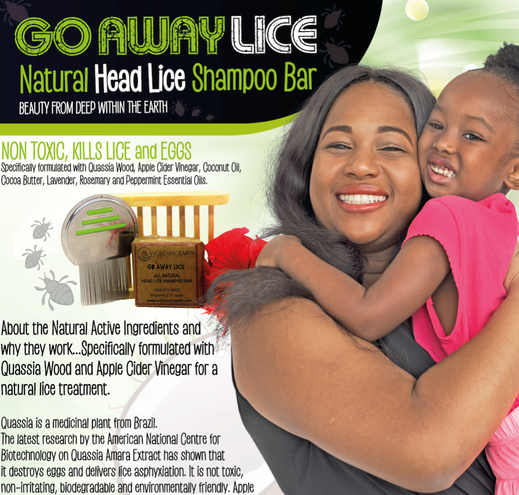 Natural Treatment For Head Lice 