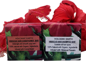 Hibiscus Hair Shampoo And Conditioner